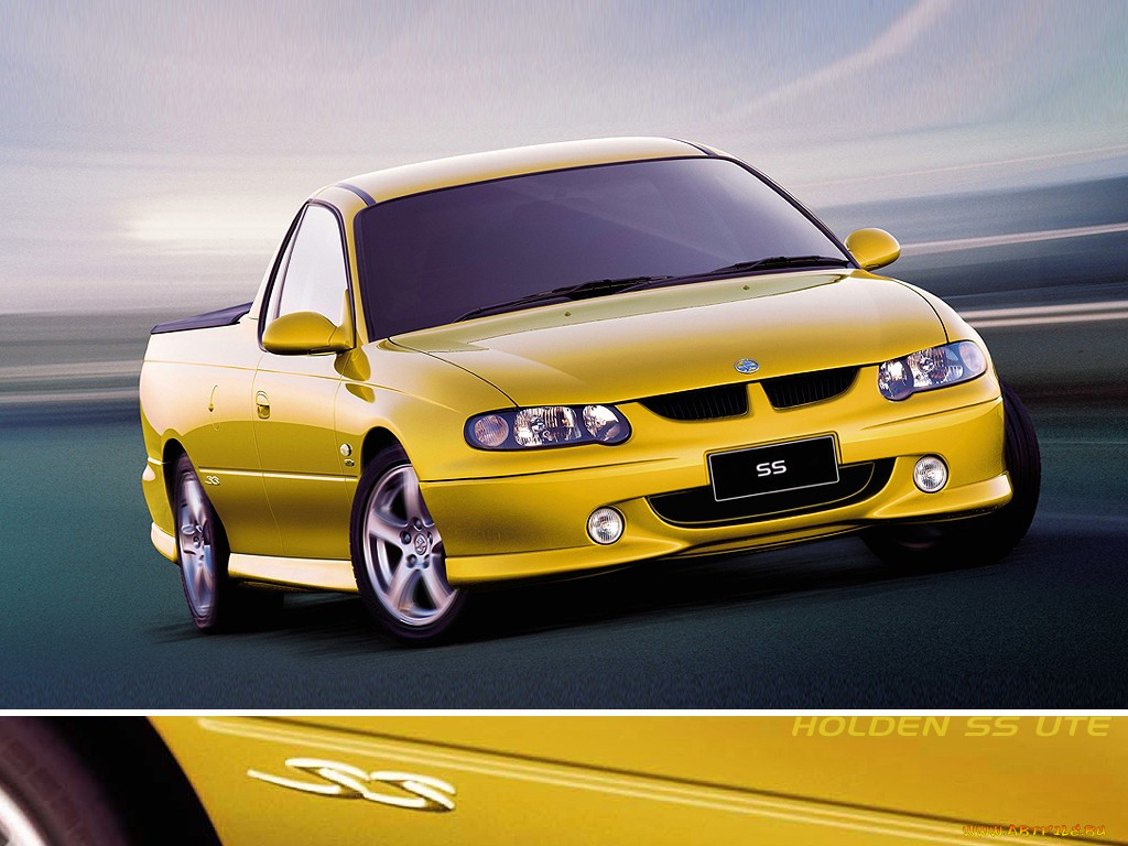 holden, commodore, 